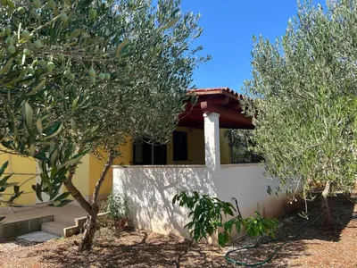 Vrt u objektu HOLIDAY HOUSE Ose