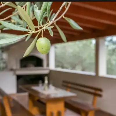 HOLIDAY HOUSE Ose