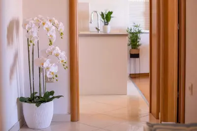 Tlocrt objekta Ivana - Sea view apartment with garage