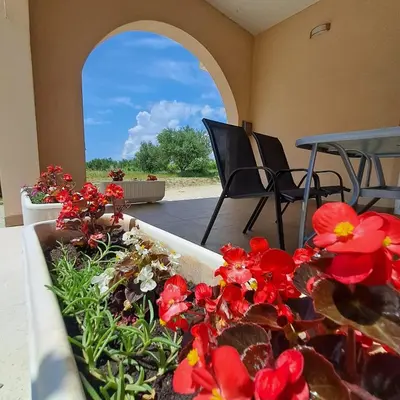 Vrt u objektu Apartman Darija 2