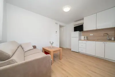 Kuhinja ili čajna kuhinja u objektu Apartmani Antunović