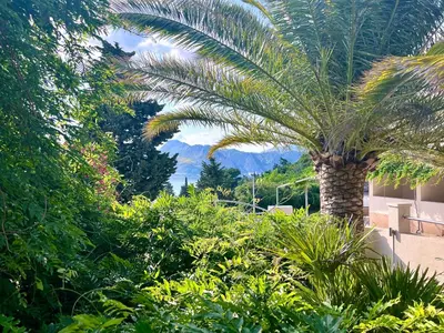 Vrt u objektu Villa Romana II Omis