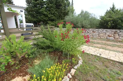 Vrt u objektu Holiday house with a parking space Rudina, Hvar - 18333