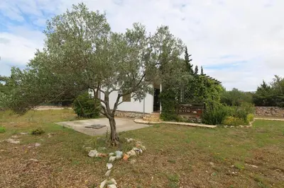 Vrt u objektu Holiday house with a parking space Rudina, Hvar - 18333