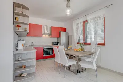 Kuhinja ili čajna kuhinja u objektu Apartman Aurelia