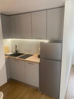 Kuhinja ili čajna kuhinja u objektu Apartments Bekavac Kričak