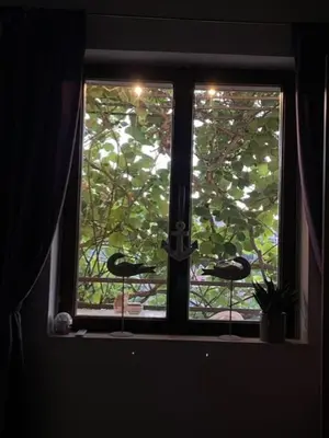 Vrt u objektu Apartment Ines