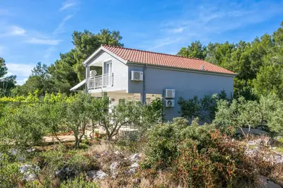 Vrt u objektu Apartments with parking space Cove Smrceva, Brac - 20193