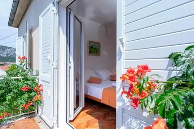 Vrt u objektu Rinada - ZF Hvar
