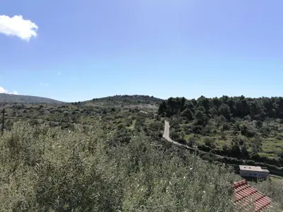 Priroda u blizini apartmana
