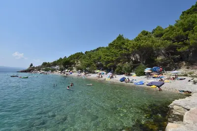 Priroda u blizini apartmana