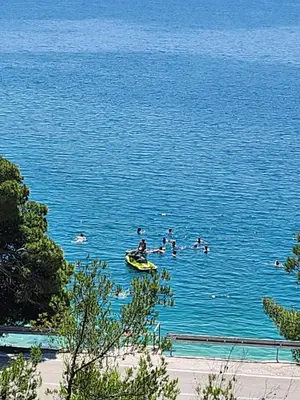 Priroda u blizini apartmana
