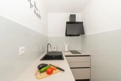 Kuhinja ili čajna kuhinja u objektu Apartmani Tona