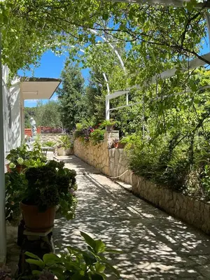 Vrt u objektu Studio apartment with swimming pool