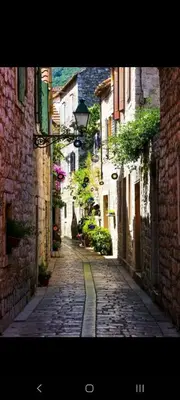 Okolica apartmana ili susjedstvo u blizini