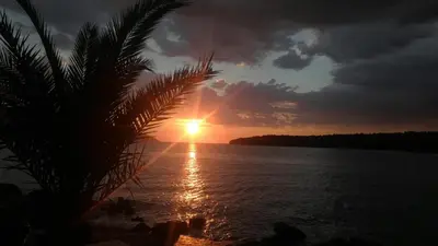 Priroda u blizini apartmana