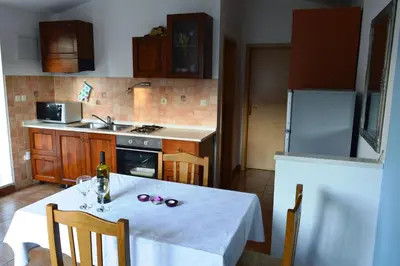Kuhinja ili čajna kuhinja u objektu Apartments Vuković