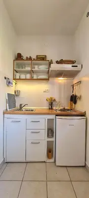 Kuhinja ili čajna kuhinja u objektu Apartment Bosiljak
