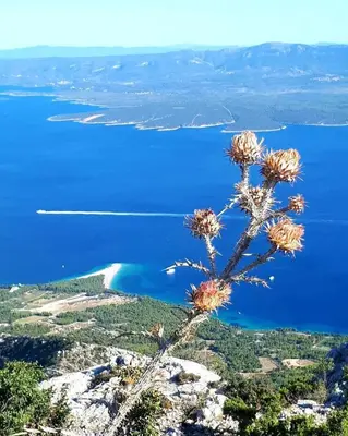 Priroda u blizini vila