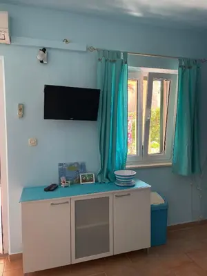 TV i/ili zabavni centar u objektu Apartments Panda