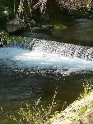 Priroda u blizini apartmana