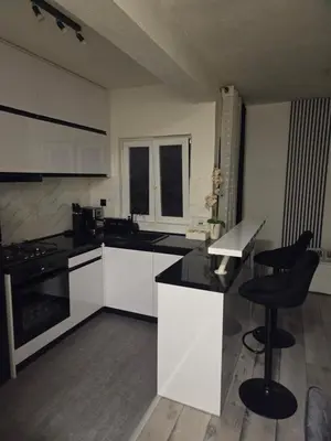 Kuhinja ili čajna kuhinja u objektu Apartman Rex