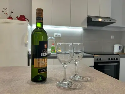 Pića u objektu Holiday house Misetic