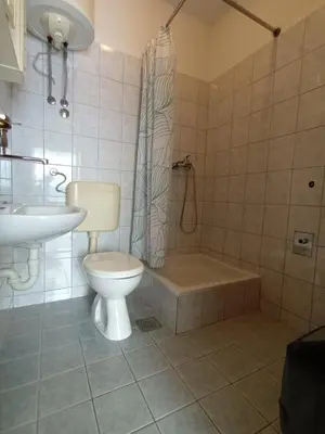 Kupaonica u objektu Apartment Ljube small