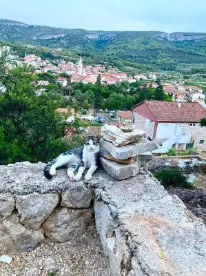 Priroda u blizini apartmana