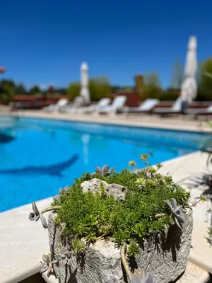 Bazen u objektu Studio apartment Gorana with swimming pool ili u blizini