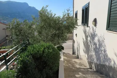 Priroda u blizini apartmana