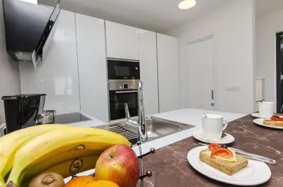 Kuhinja ili čajna kuhinja u objektu Villa Ivan
