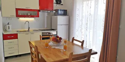 Kuhinja ili čajna kuhinja u objektu Apartments Bošković