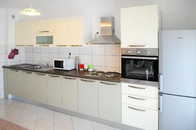 Kuhinja ili čajna kuhinja u objektu Apartments Rajic