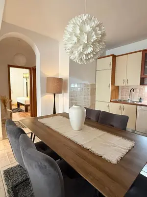 Kuhinja ili čajna kuhinja u objektu Apartman Tino with two sunny terace