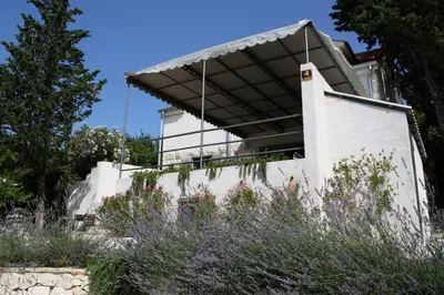 Vrt u objektu Villa Tamara