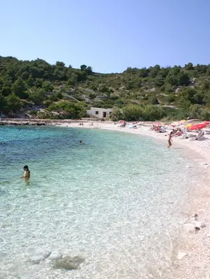 Priroda u blizini kampova
