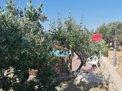 Vrt u objektu Camp Kopito