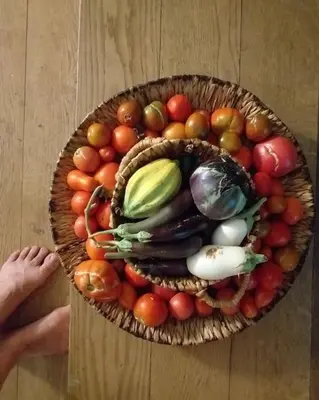 Hrana u vili ili u blizini