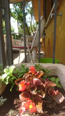Vrt u objektu Holiday Home Jere