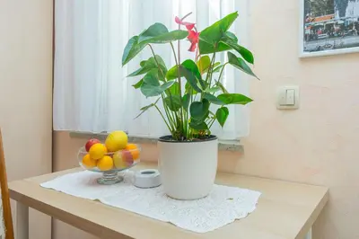 Tlocrt objekta Apartments Tonko