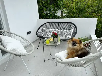 Ljubimac ili ljubimci u objektu Olive View Apartment Brela - pet friendly