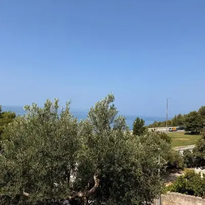 Olive View Apartment Brela - pet friendly