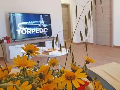 TV i/ili zabavni centar u objektu Holiday Home Gordana II