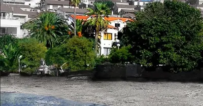 Vrt u objektu Apartments Villa Domus Marini