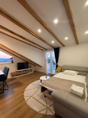 TV i/ili zabavni centar u objektu Apartman Tijana