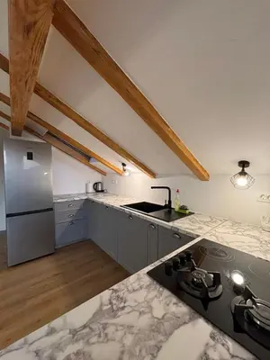 Kuhinja ili čajna kuhinja u objektu Apartman Tijana