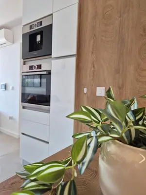 Kuhinja ili čajna kuhinja u objektu SAN Baška Voda - Garage included