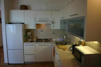 Kuhinja ili čajna kuhinja u objektu Apartments Boris