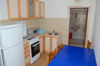 Kuhinja ili čajna kuhinja u objektu Apartments with parking space Postira, Brac - 22207